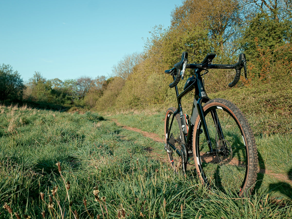 a bike leaning up against a tree on a trail