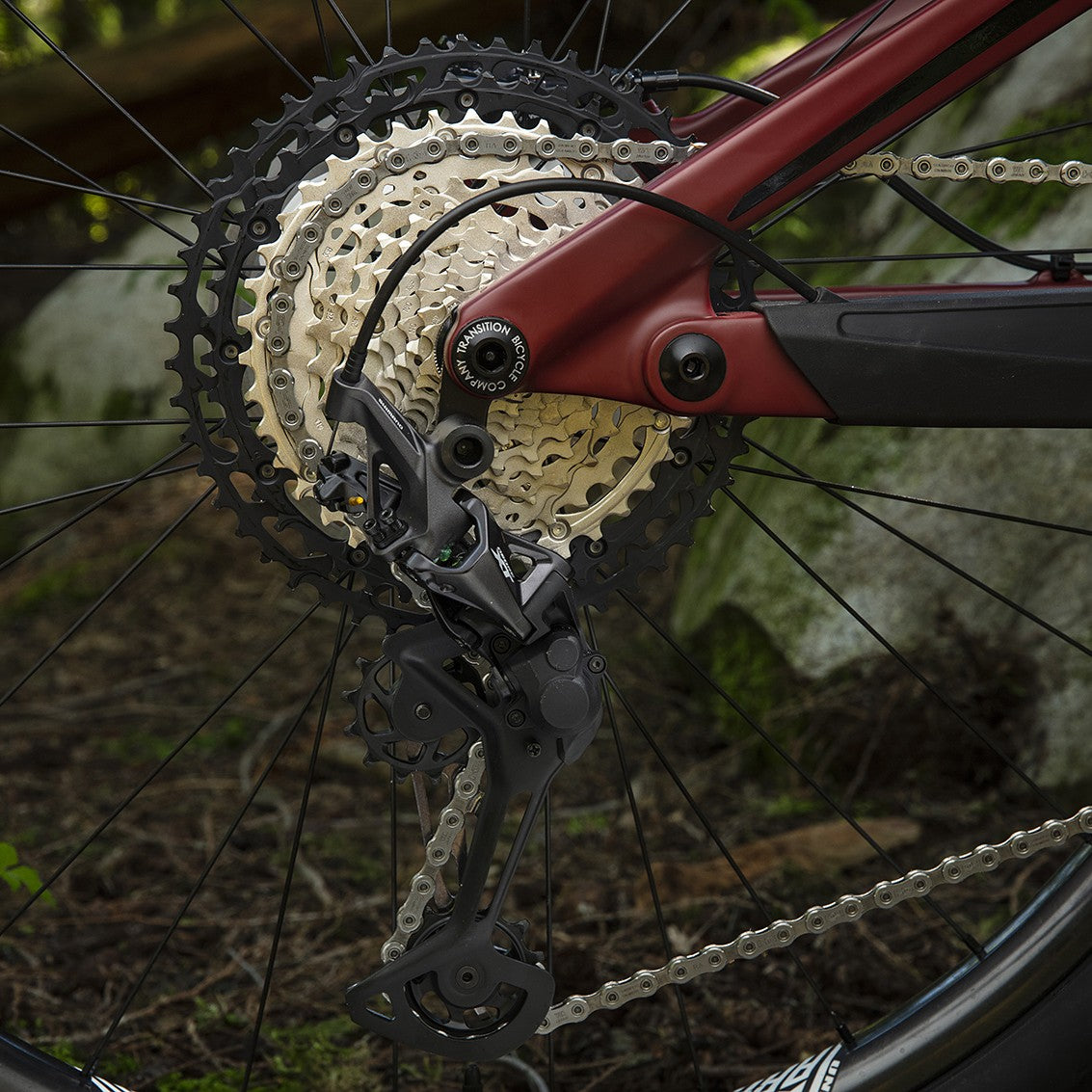 Cassette Shimano XT CS-M8100-12 detalle
