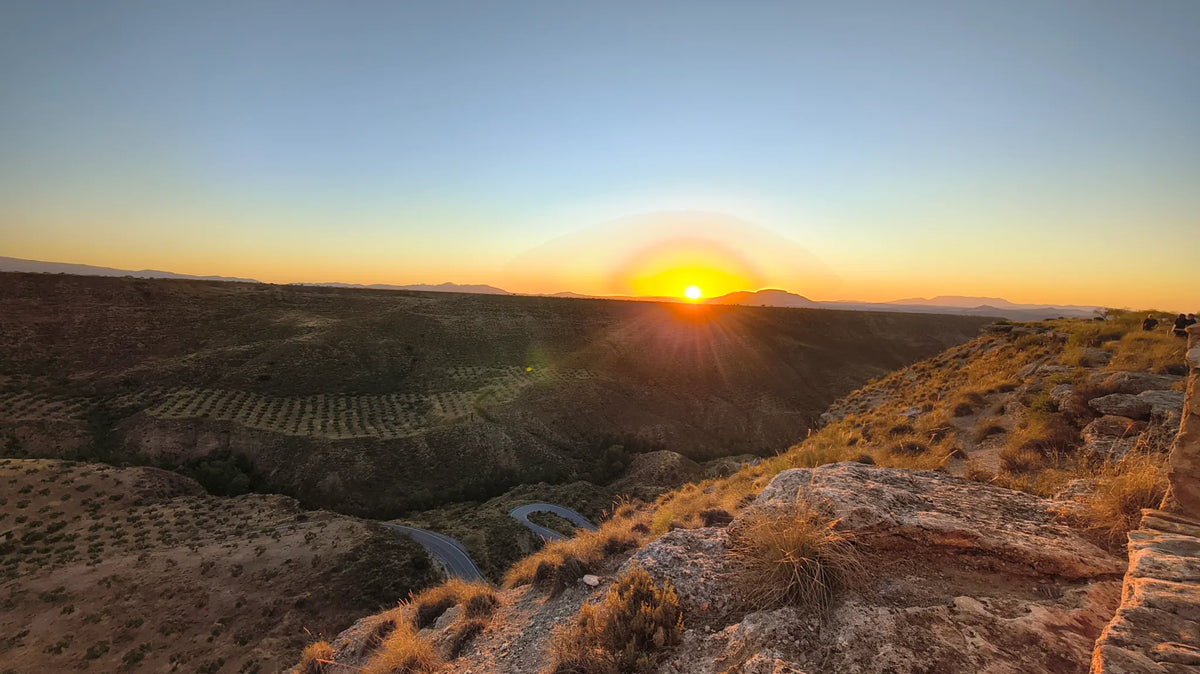 desert sunset landscape