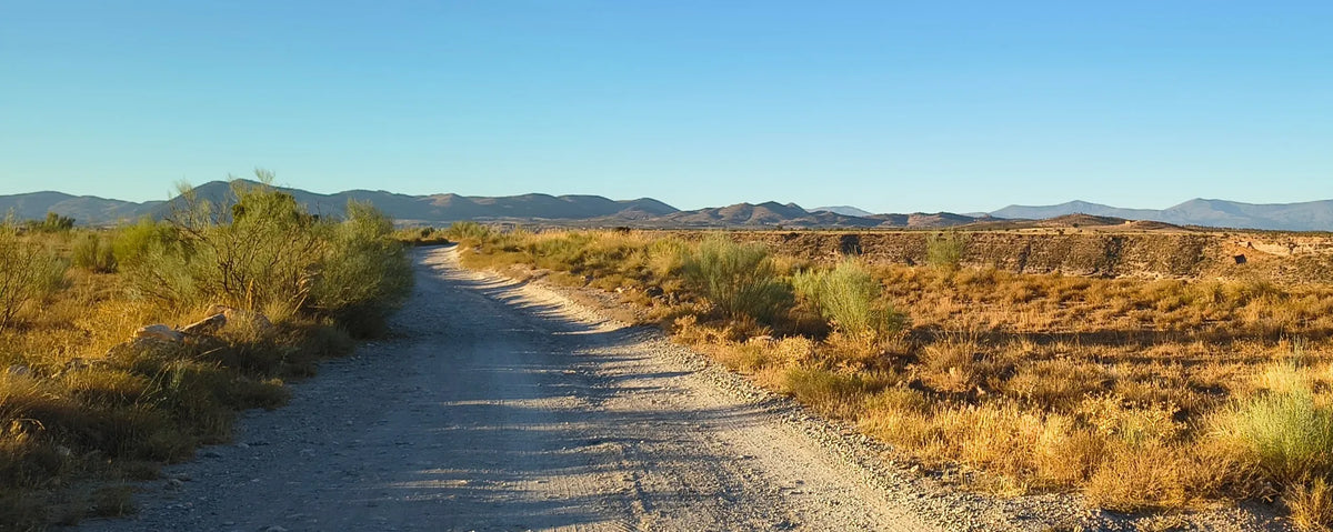 sunset desert landscape
