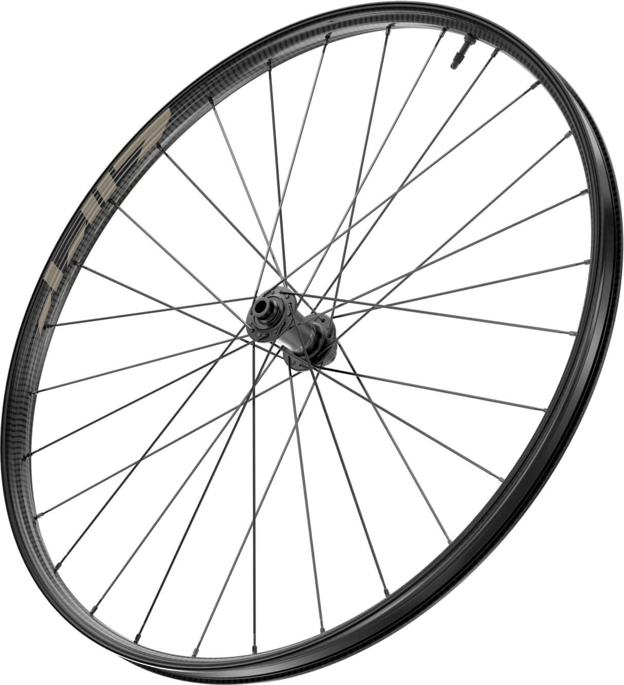 ZIPP 101 XPLR 650b